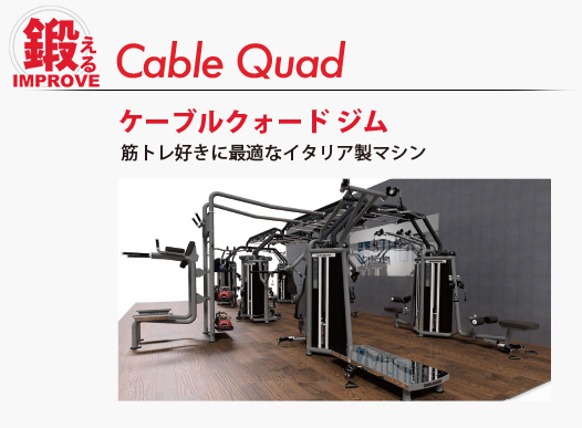Cable Quad Gymケーブル クォード ジム　筋トレに最適なイタリア製マシンジム